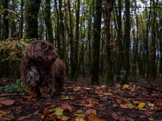 DSC_0277