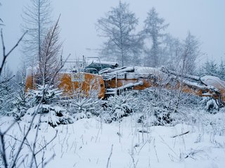 DSC_1304