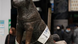 Japan_Tag_3-6