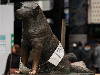 Japan_Tag_3-6