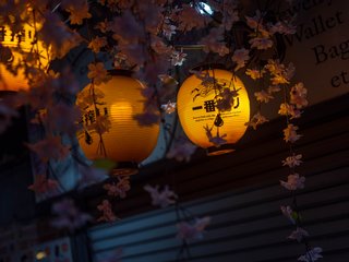 Japan_Tag_4-22