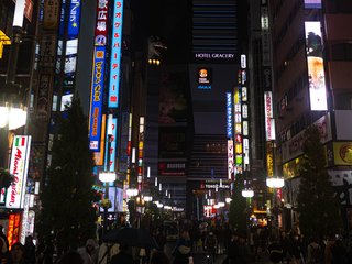 Japan_Tag_4-5